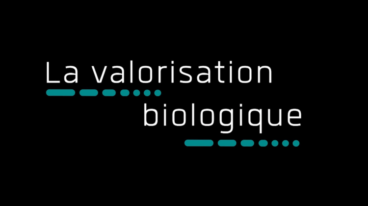 Vernéa – Valorisation biologique