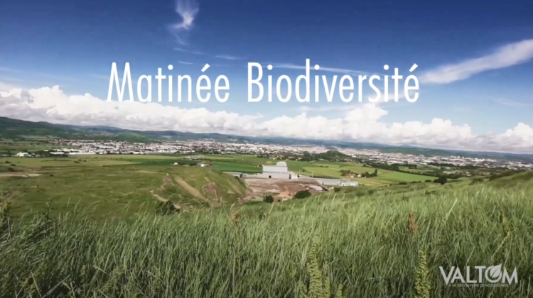 Matinée Biodiversité – Puy-Long