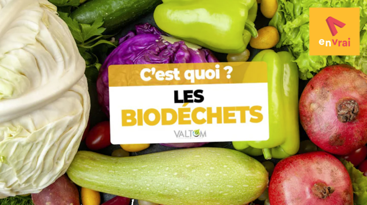 En Vrai ! C’est quoi les biodéchets ?