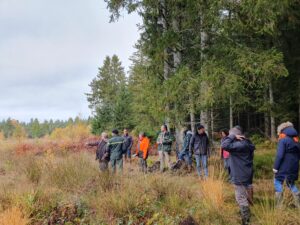 zone humide echandelys