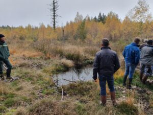 zone humide echandelys