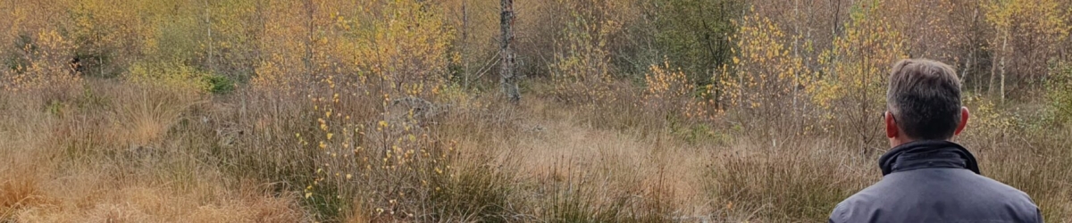 Zones humides : focus sur la restauration de La Modière à Echandelys