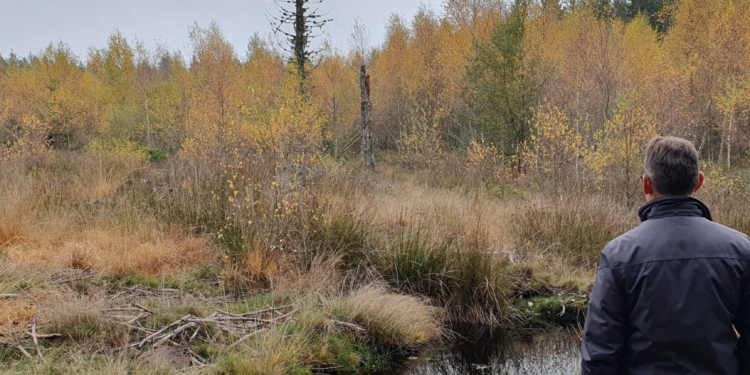 Zones humides : focus sur la restauration de La Modière à Echandelys