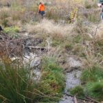 zone humide echandelys